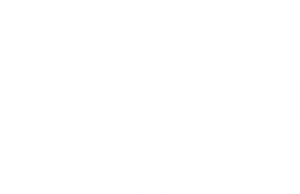 Freedom Flies Co.